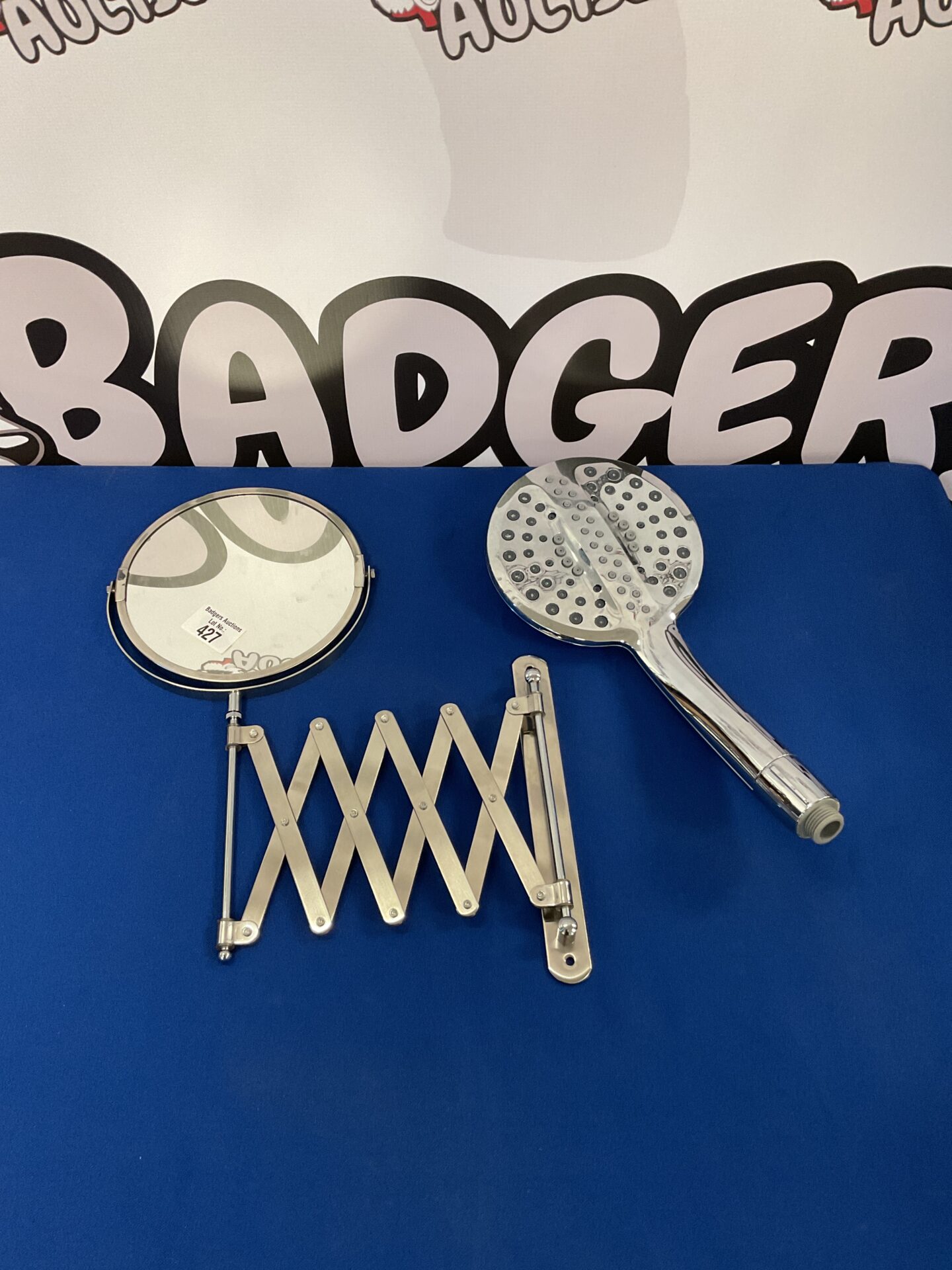 Extendable bathroom mirror and shower head